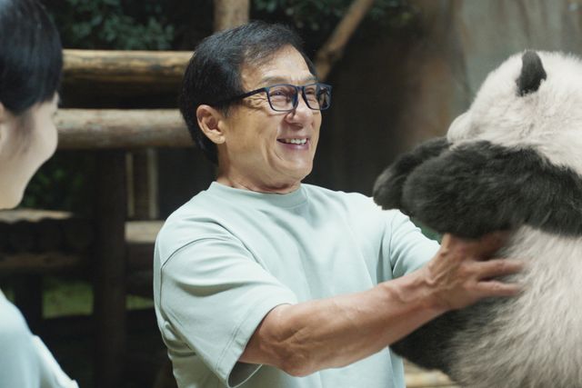 映画『パンダプラン』の画像（2枚目）