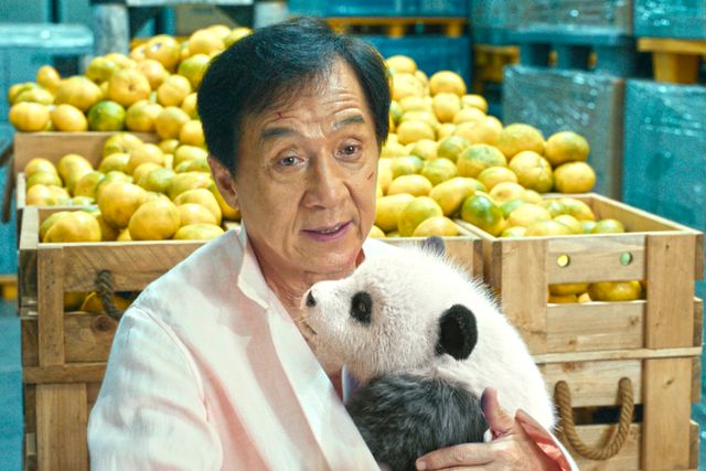 映画『パンダプラン』の画像（4枚目）