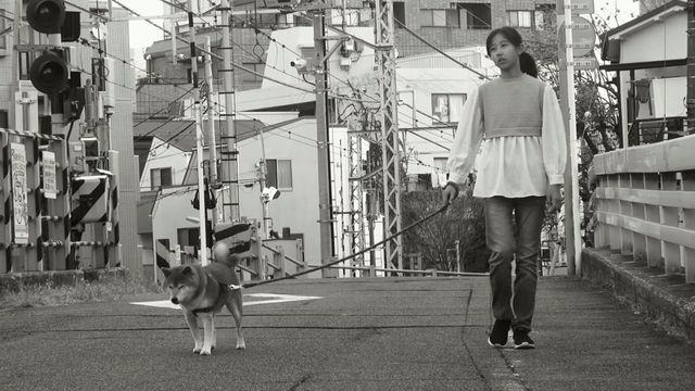 映画『放課後の転校生』の画像（5枚目）