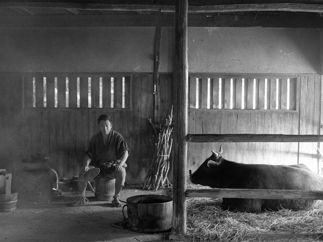 映画『黒の牛』の画像（12枚目）