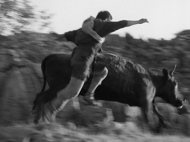 映画『黒の牛』の画像（13枚目）