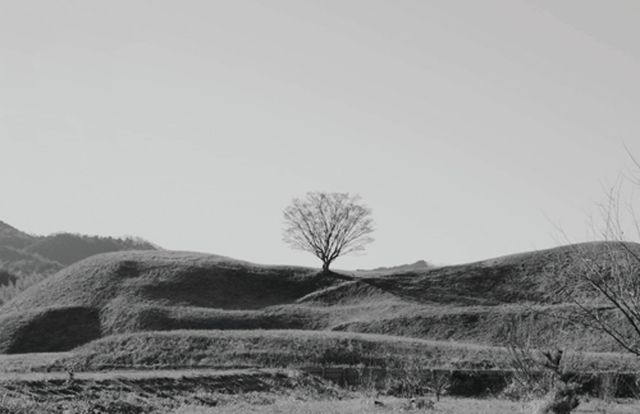 映画『道行き』の画像（13枚目）