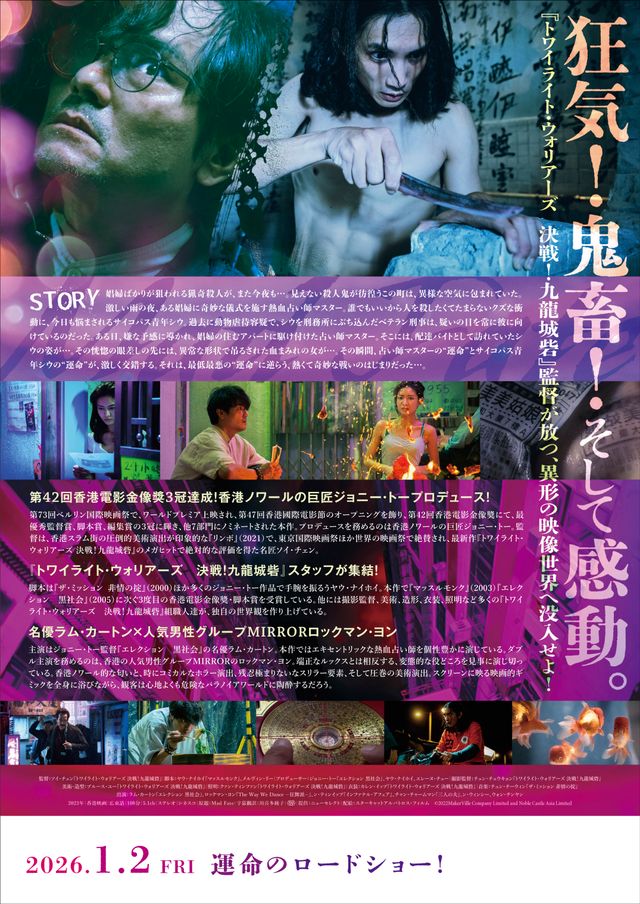 映画『マッド・フェイト　狂運』の画像（3枚目）