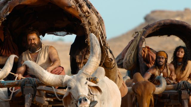 映画『マライコッタイ・ヴァーリバン』の画像（17枚目）