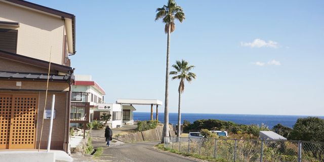 映画『椰子の高さ』の画像（7枚目）