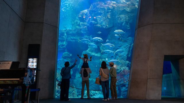 映画『デイズ～かけがえのない日々～』の画像（6枚目）