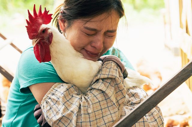 映画『サリー』の画像（15枚目）