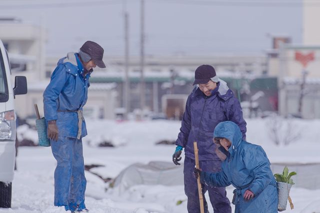 映画『時のおと』の画像（6枚目）