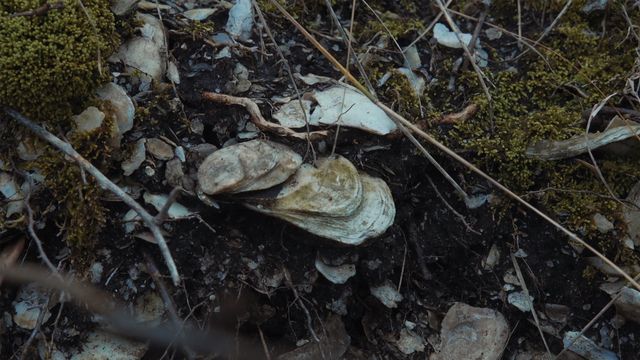 映画『水の中で息をする　－彼女でも彼でもなく－』の画像（6枚目）