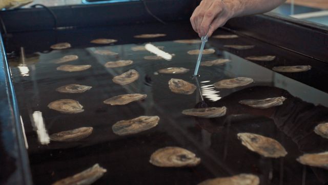 映画『水の中で息をする　－彼女でも彼でもなく－』の画像（11枚目）