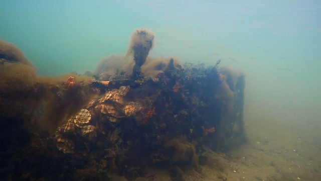 映画『水の中で息をする　－彼女でも彼でもなく－』の画像（13枚目）