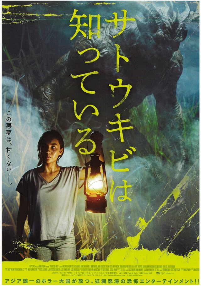 映画『サトウキビは知っている』の画像（2枚目）