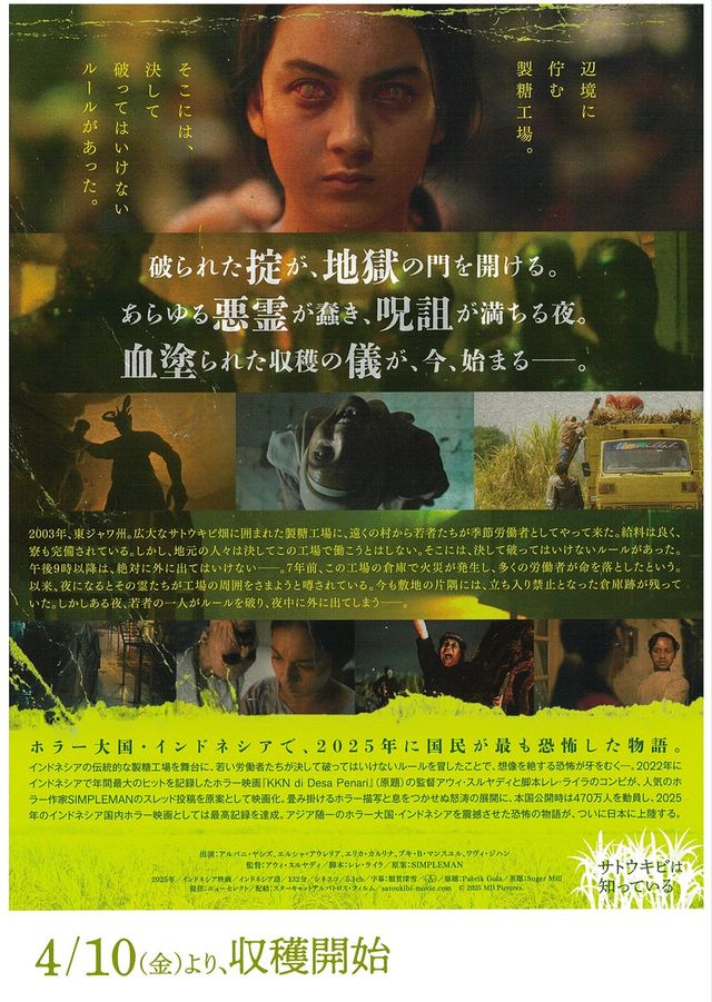 映画『サトウキビは知っている』の画像（3枚目）