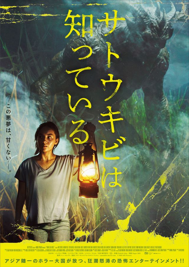 サトウキビは知っている