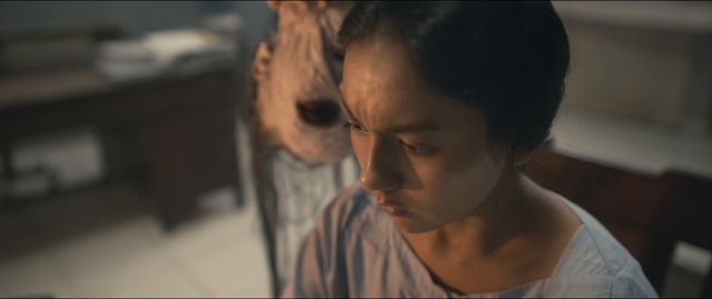 映画『サトウキビは知っている』の画像（4枚目）