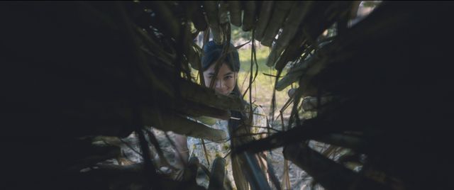 映画『サトウキビは知っている』の画像（8枚目）