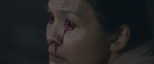 映画『サトウキビは知っている』の画像（12枚目）