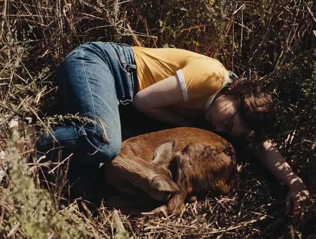 映画『落下音』の画像（5枚目）