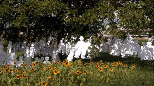 映画『1923』の画像（7枚目）