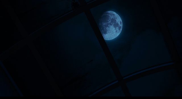 映画『月の犬』の画像（11枚目）