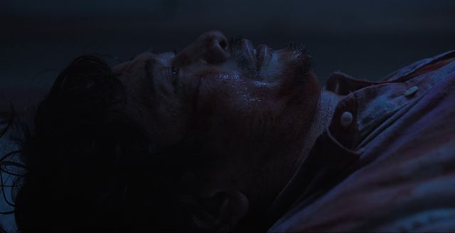 映画『月の犬』の画像（9枚目）