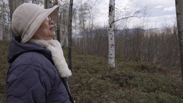 映画『父と家族とわたしのこと』の画像（11枚目）