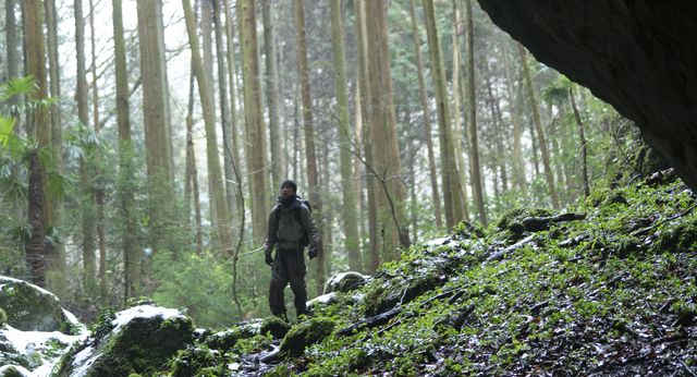映画『脛擦りの森』の画像（10枚目）