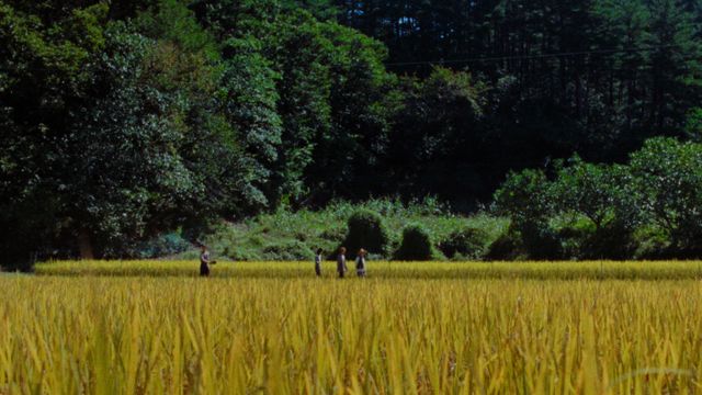 映画『Riceboy ライスボーイ』の画像（11枚目）
