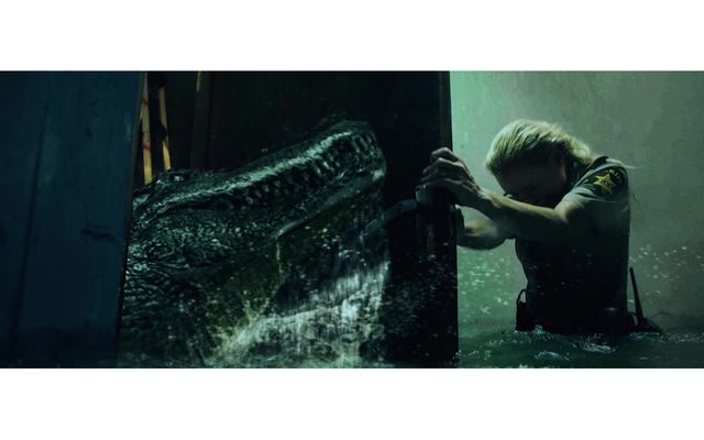 アリゲーター：暴水領域