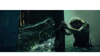 アリゲーター：暴水領域