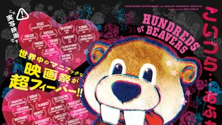 FEVER ビーバー！