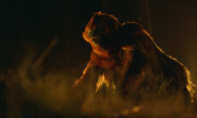 映画『OCHI! －オチ－』の画像（8枚目）