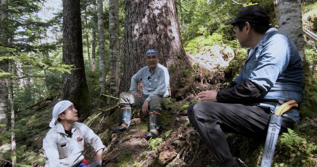 映画『森に聴く Listen to the Forest』の画像（15枚目）