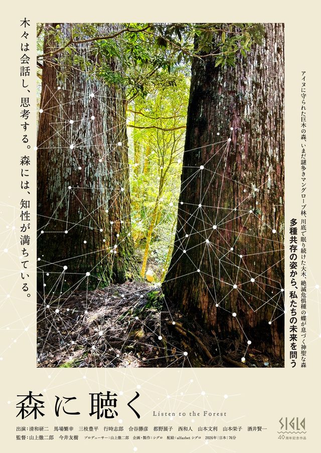 森に聴く Listen to the Forest