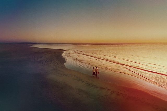 映画『人はなぜラブレターを書くのか』の画像（16枚目）