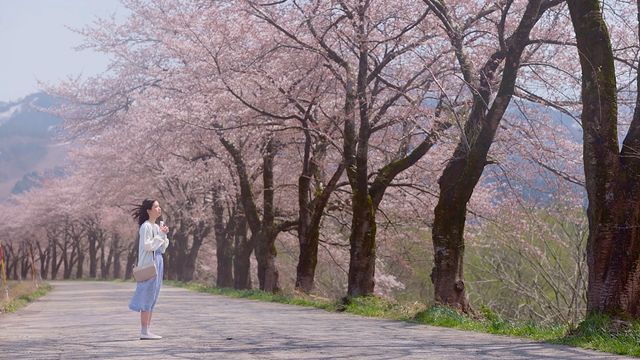 映画『おばあちゃんの秘密』の画像（6枚目）