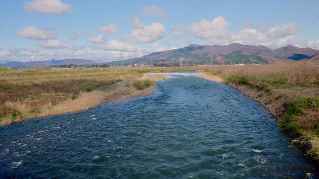 映画『おばあちゃんの秘密』の画像（19枚目）