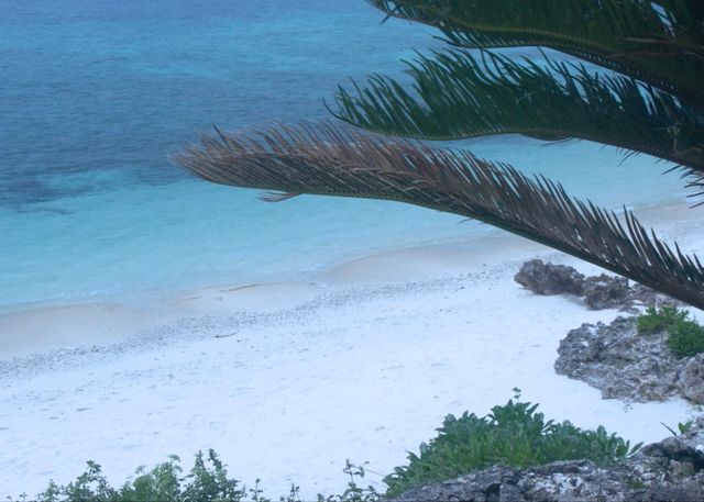 映画『宮古島物語ふたたヴィラ　かんかかりゃの願い』の画像（7枚目）