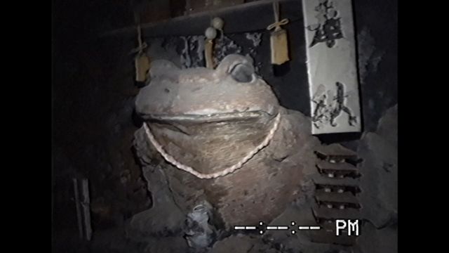 映画『沢田美由紀のガマランドにお邪魔します』の画像（9枚目）