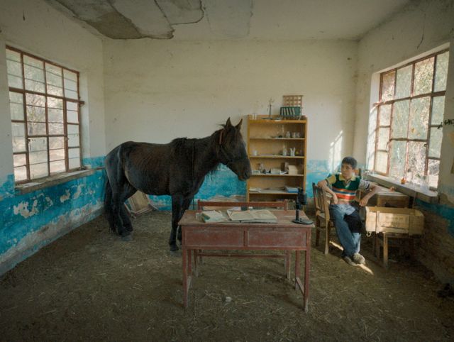 映画『ボタニスト　植物を愛する少年』の画像（3枚目）