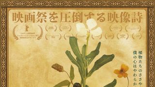 ボタニスト　植物を愛する少年