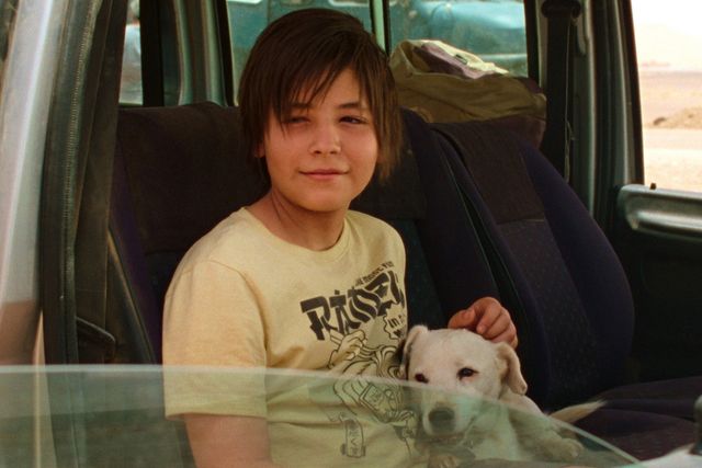 映画『シラート』の画像（8枚目）