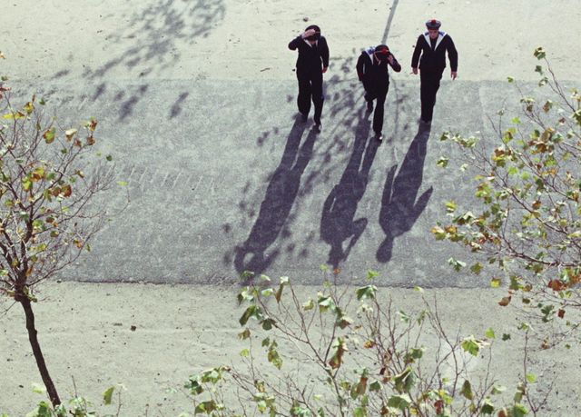 映画『海辺の恋』の画像（11枚目）