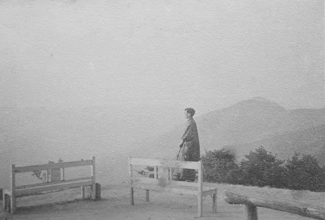 映画『谷口善太郎　たたかう小説』の画像（5枚目）