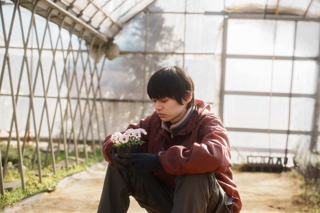 映画『あなたの息子ひき出します！』の画像（11枚目）