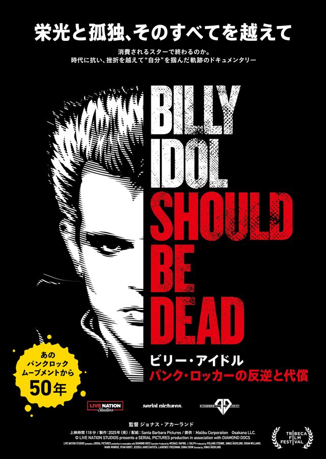 映画『ビリー・アイドル　パンク・ロッカーの反逆と代償』の画像（2枚目）