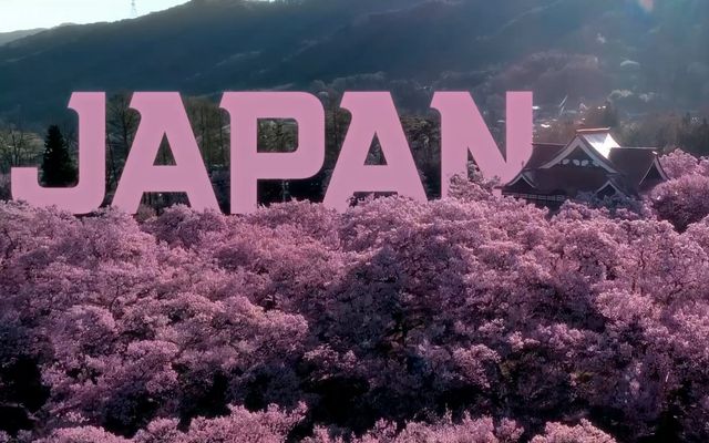 映画『Mirai 運命の戦士』の画像（29枚目）