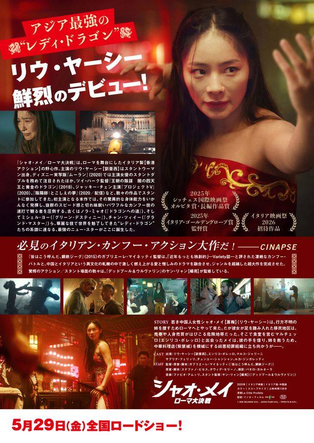 映画『シャオ・メイ／ローマ大決戦』の画像（3枚目）