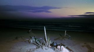 コスモ・コルプス