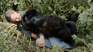 デヴィッド・アッテンボロー：ゴリラが紡ぐ物語